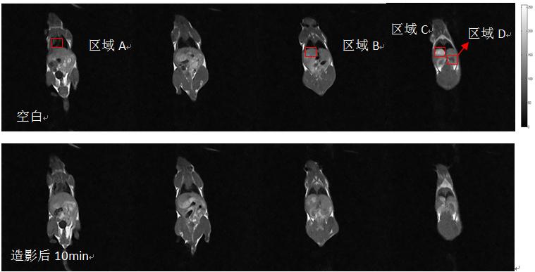造影劑弛豫率測試及造影劑在小鼠體內代謝過程